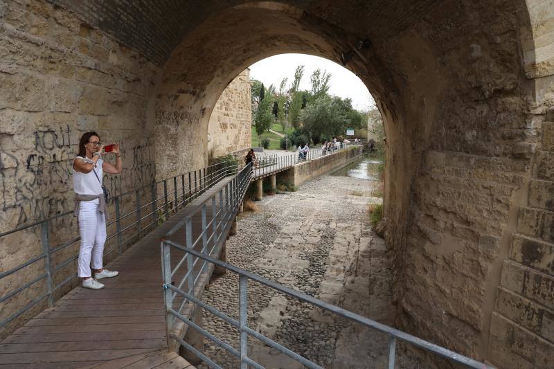 La sequía del Guadalquivir a su paso por Córdoba, en imágenes