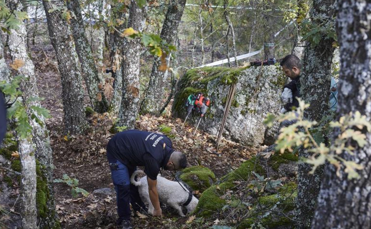 Varios agenteS, con un perro policía, buscan restos de Juana Canal en el paraje de Ávila