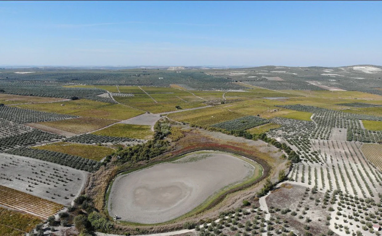 La Laguna del Rincón completamente seca