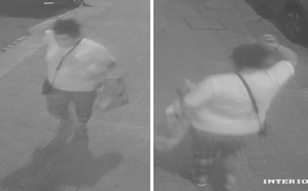 La sospechosa del secuestro en una imagen tomada por una cámara