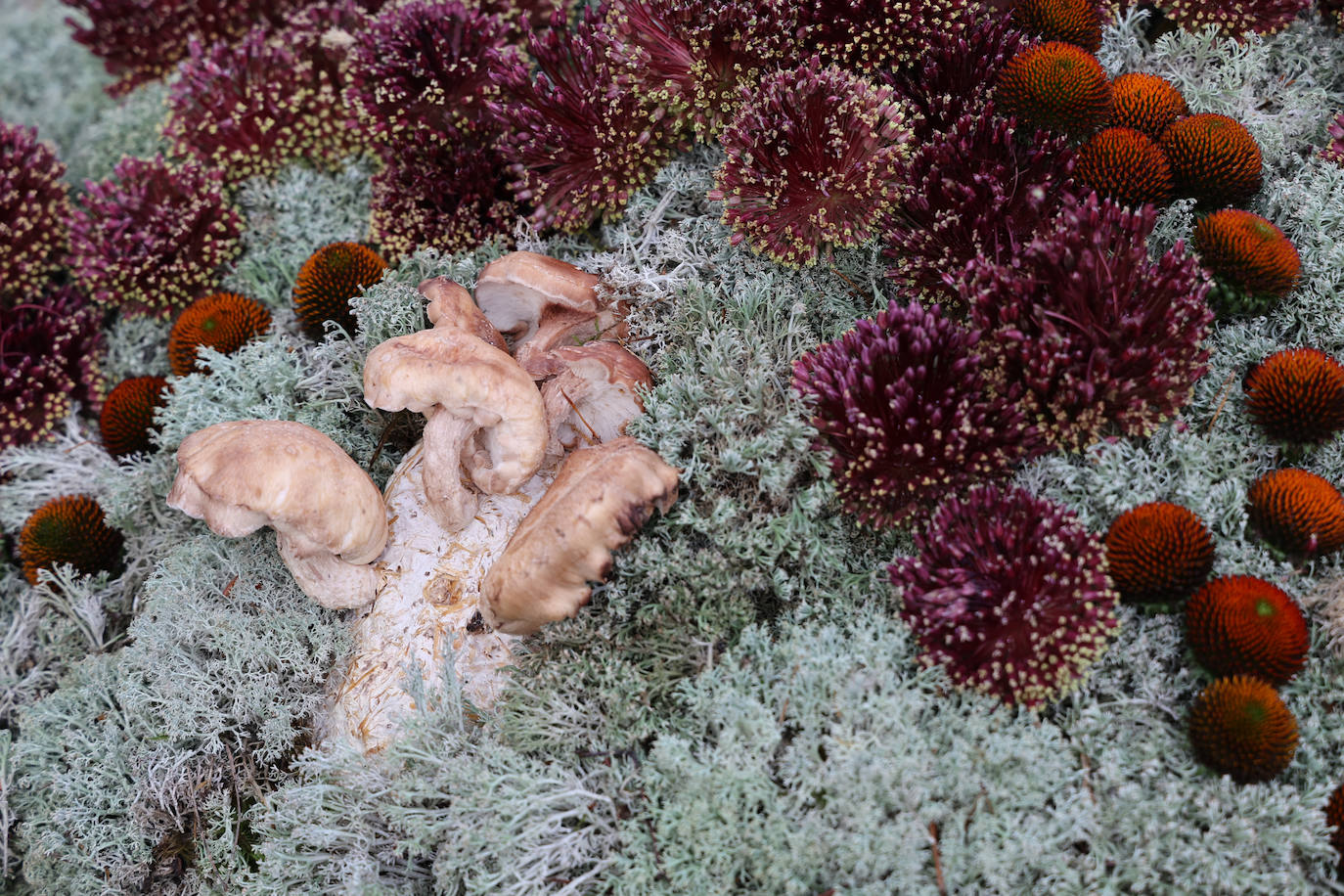 En imágenes, las instalaciones de Orive y Viana ganan los premios Flora 2022