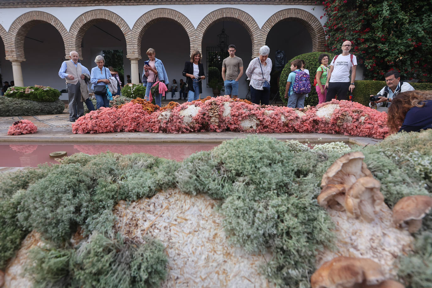 En imágenes, las instalaciones de Orive y Viana ganan los premios Flora 2022