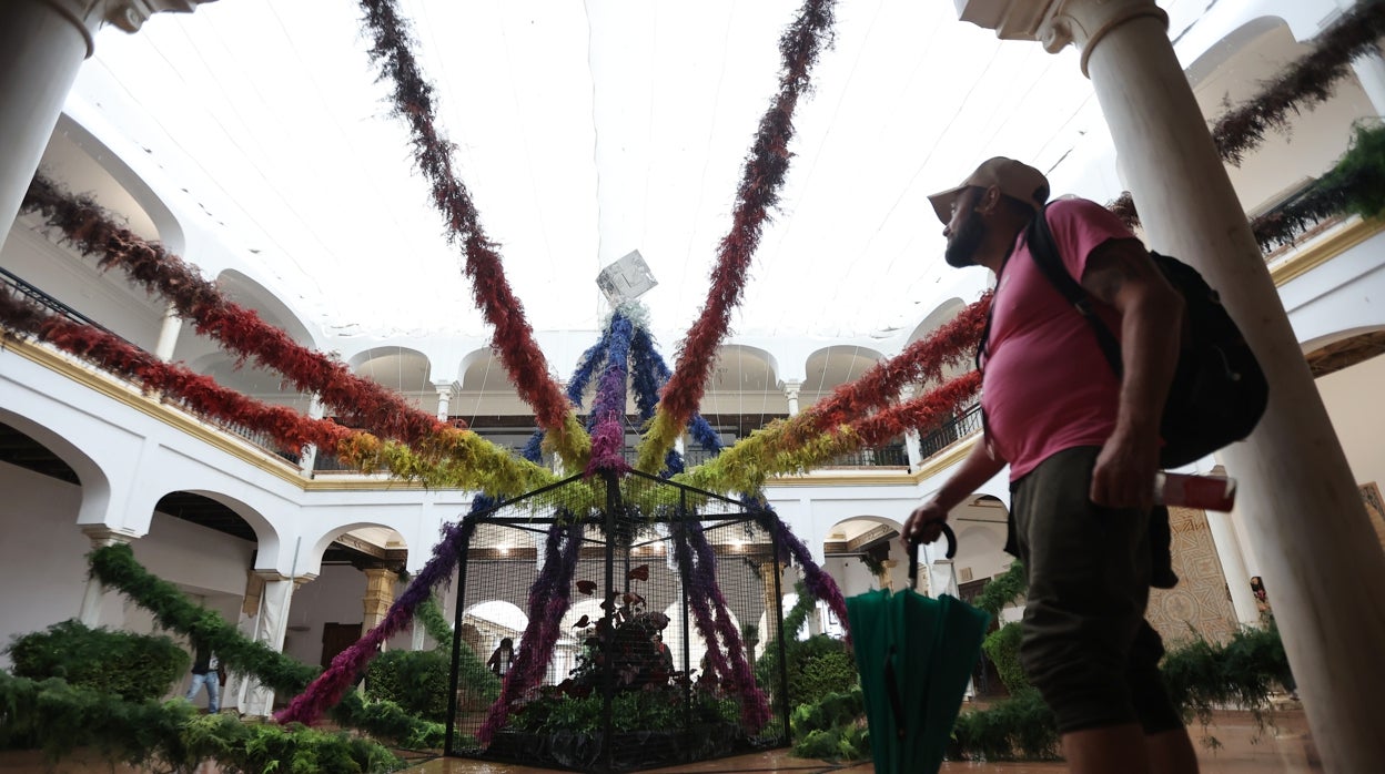 En imágenes, Flora se resiste a la lluvia y saca su magia a la calle