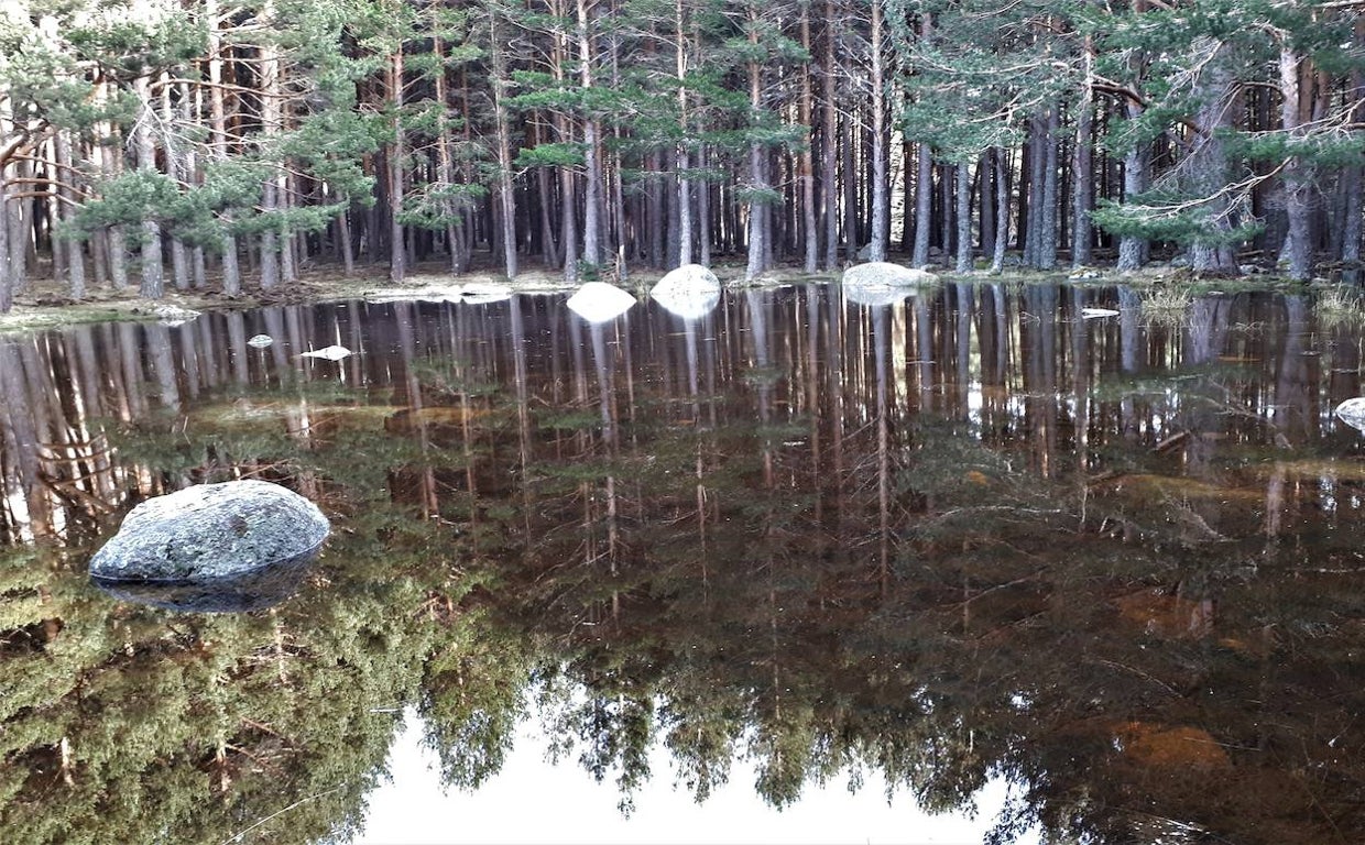 Lagunilla del Lomo, en Manzanares el Real