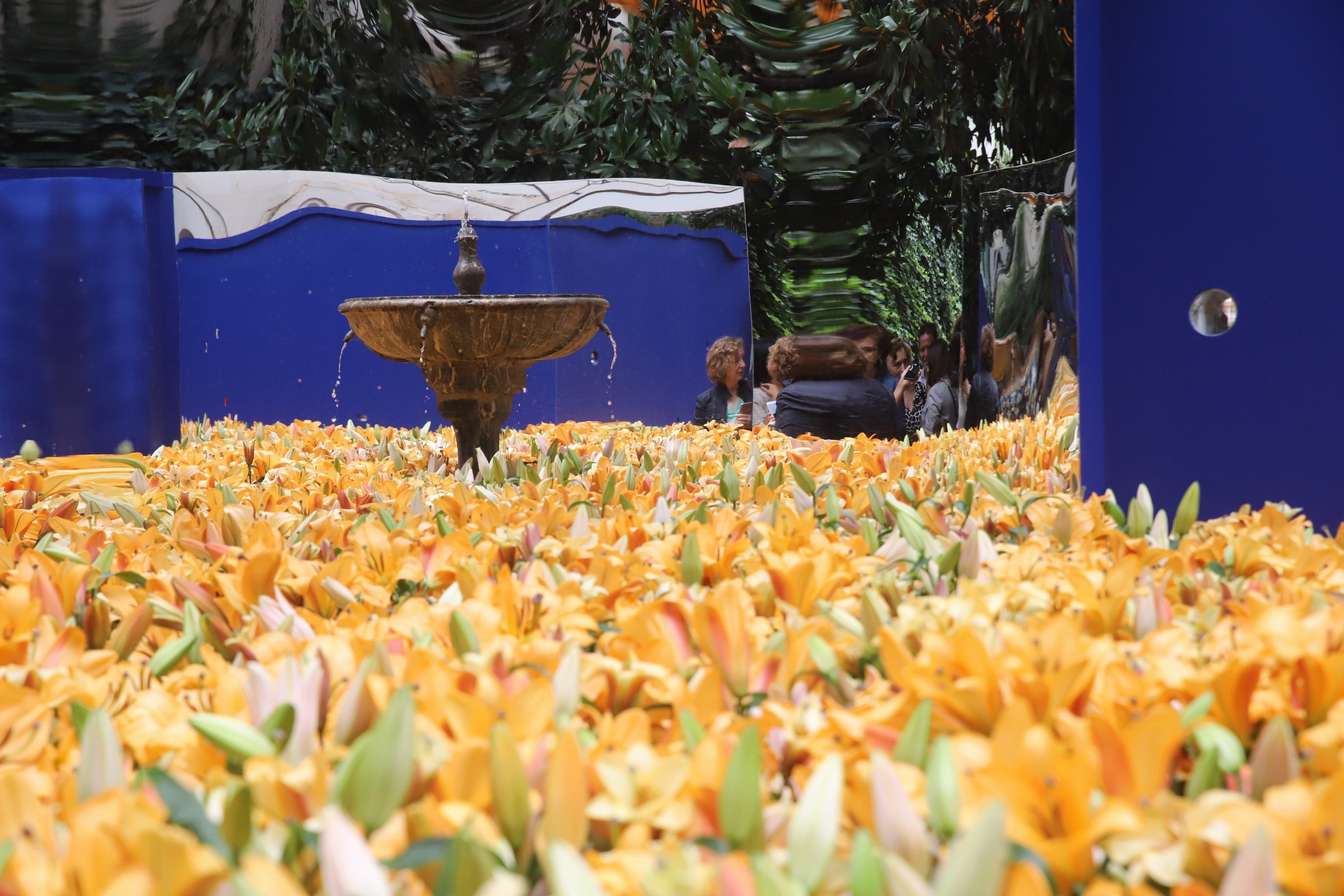 El sábado de Flora de Córdoba, en imágenes