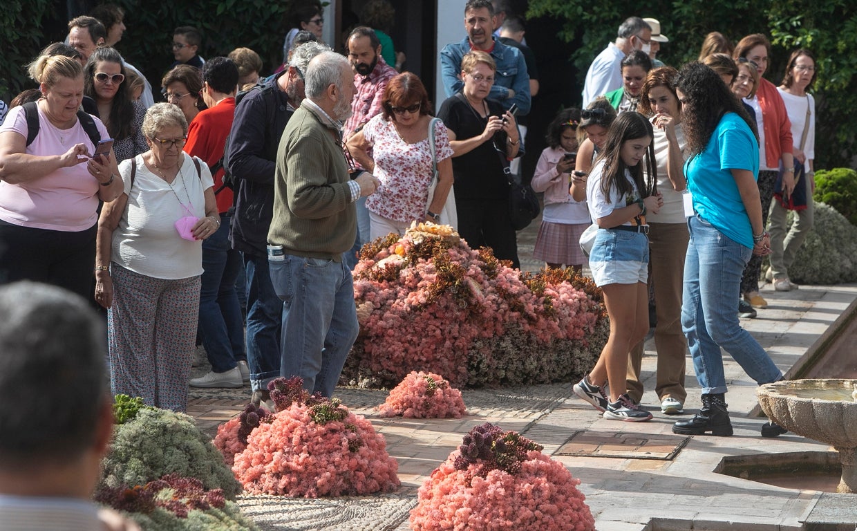 Visitantes en la instalación de Cordero Atelier en el Palacio de Viana