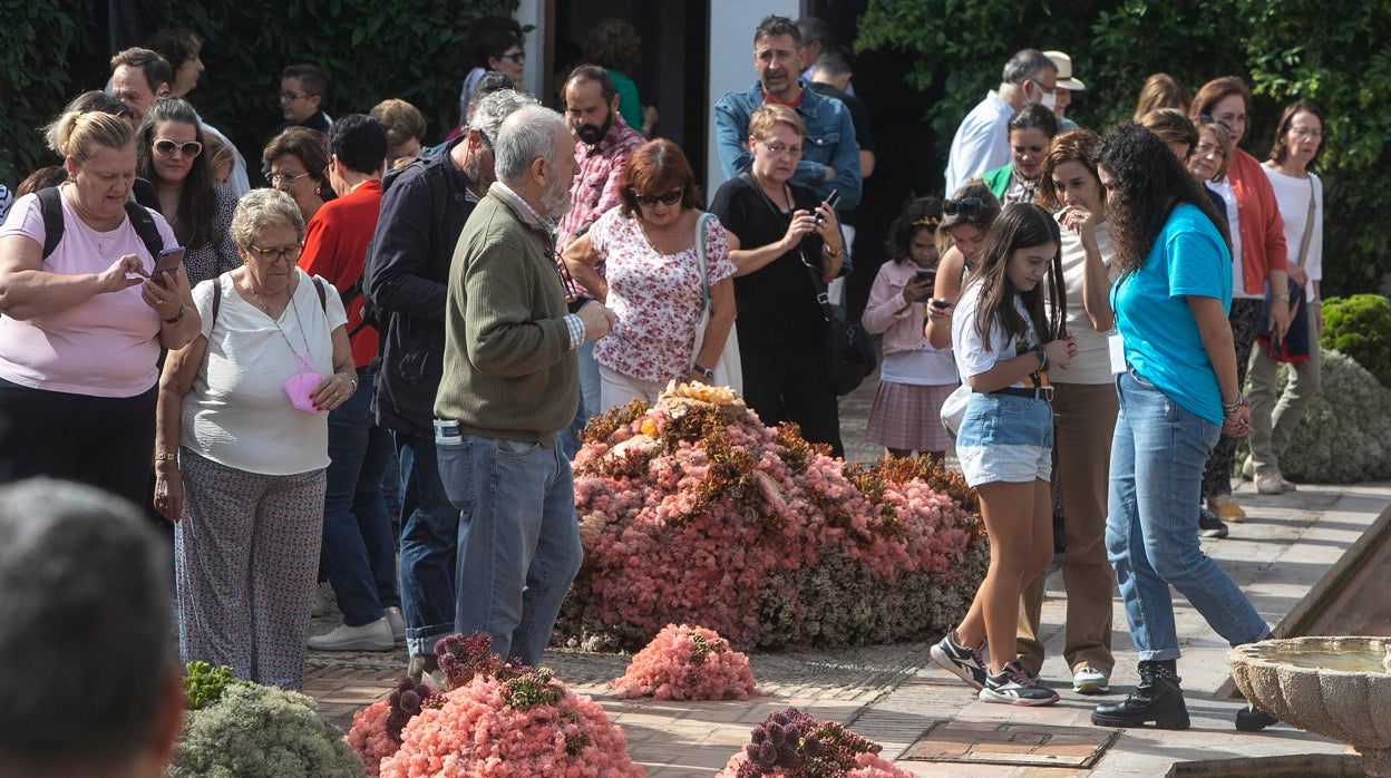 Flora Córdoba 2022 | El festival confirma su éxito con 124.000 visitas en los primeros días