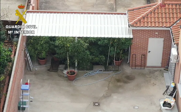 Detectan con drones el cultivo y elaboración de drogas en viviendas de Cebolla