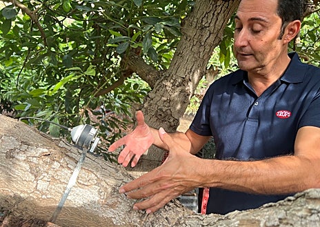 Imagen secundaria 1 - 1. Aguacates recogidos en la finca Sarmiento // 2. David explica otro de los sensores que se colocan en los árboles // 3. Aplicación en el móvil por la que se ajusta el riego y se revisan los parámetros.