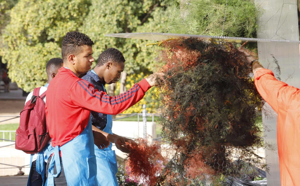 Jóvenes de oenegés de Córdoba arman una instalación floral en la 'guerrilla' tradicional de flores que cierra Flora
