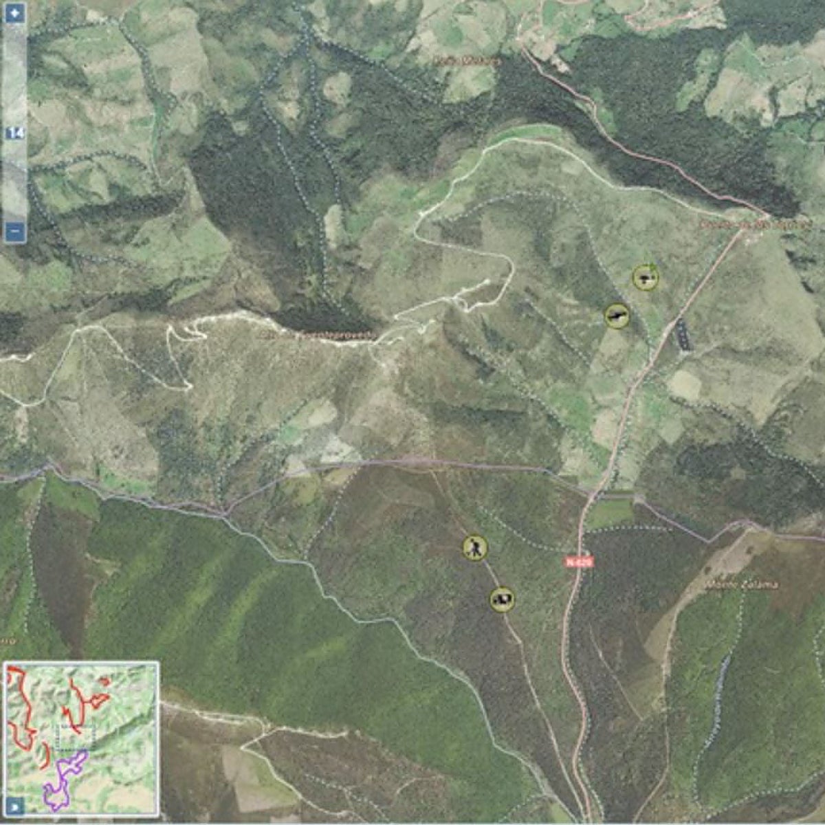 Medios de Castilla y León colaboran en la extinción de un incendio en Cantabria, que ha entrado ya en la provincia de Burgos