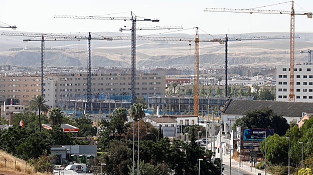 Bosque de grúas en la zona de expansión residencial de Chinales