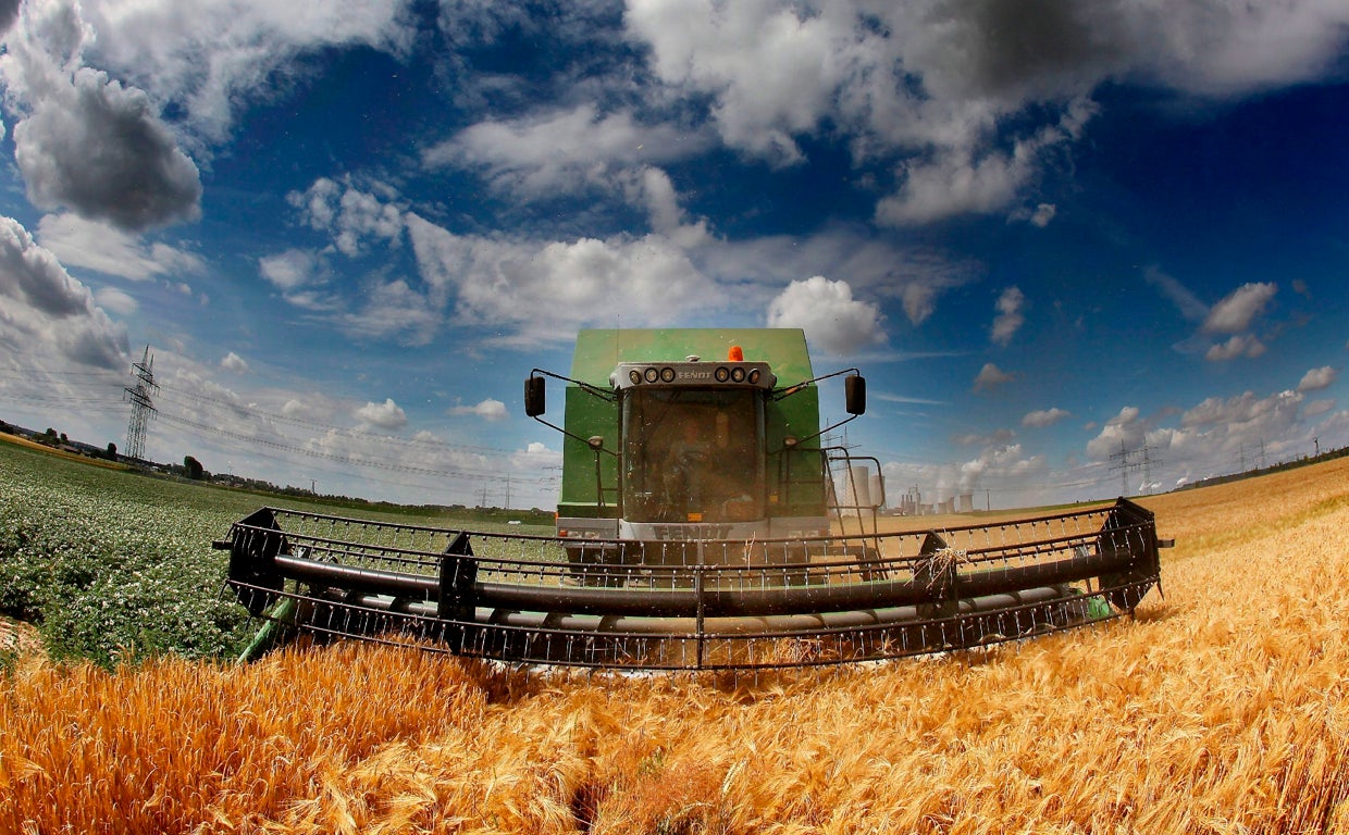 La siembra de cereales en Córdoba cosecha motivos de preocupación: sequía, PAC y falta de abonos
