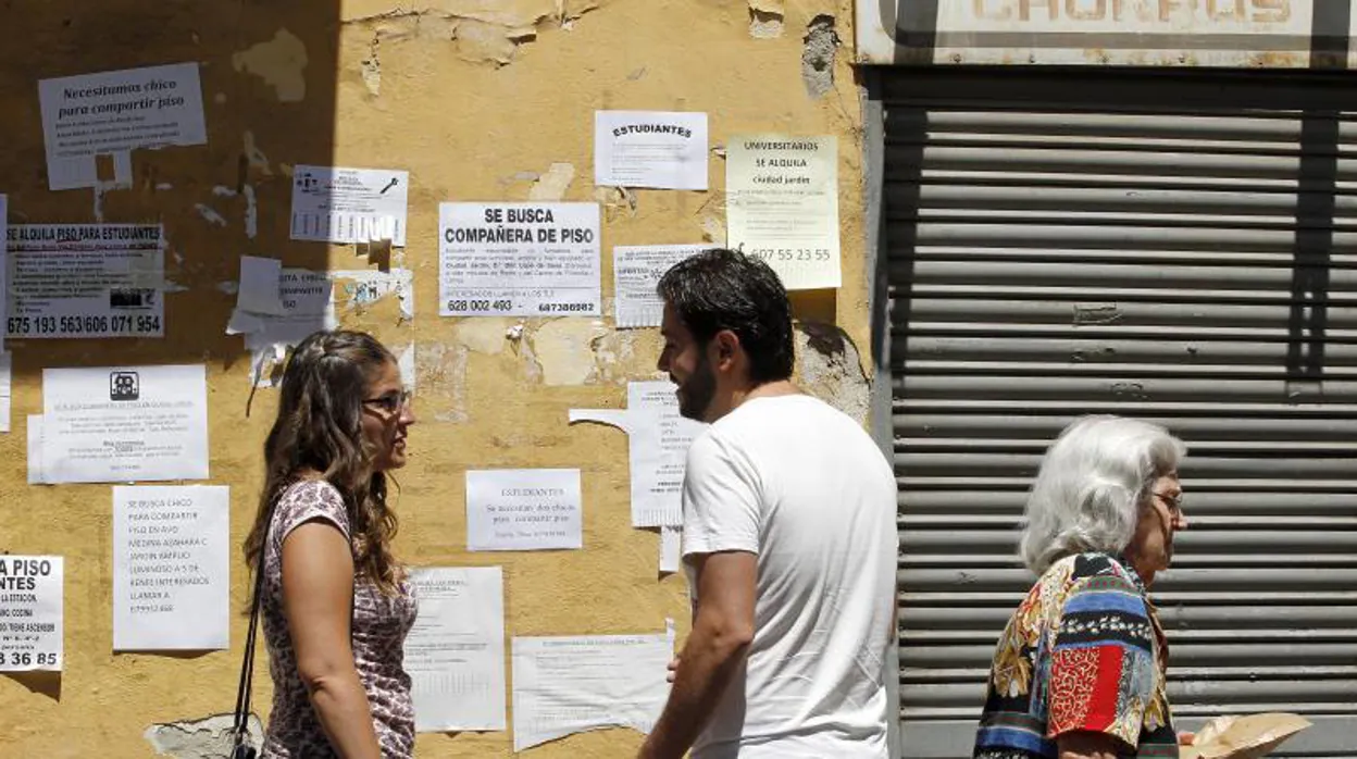 Andalucía publica el nuevo bono joven del alquiler: quién puede solicitarlo y desde cuándo