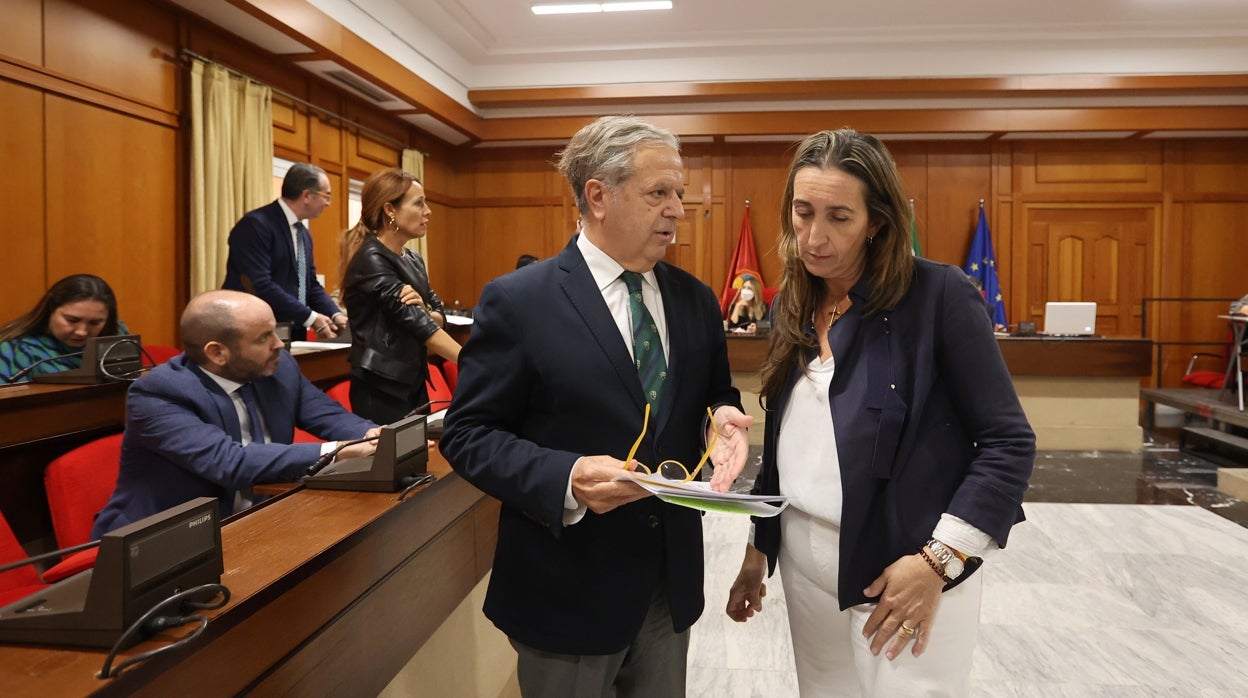 El Pleno de Córdoba autoriza inicialmente la cuarta bajada fiscal del mandato