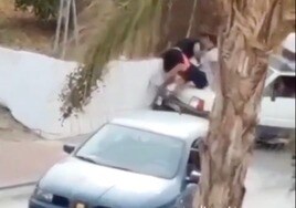 Atropellan a dos ladrones que pillaron robando en su finca de Alhaurín el Grande y el video se hace viral