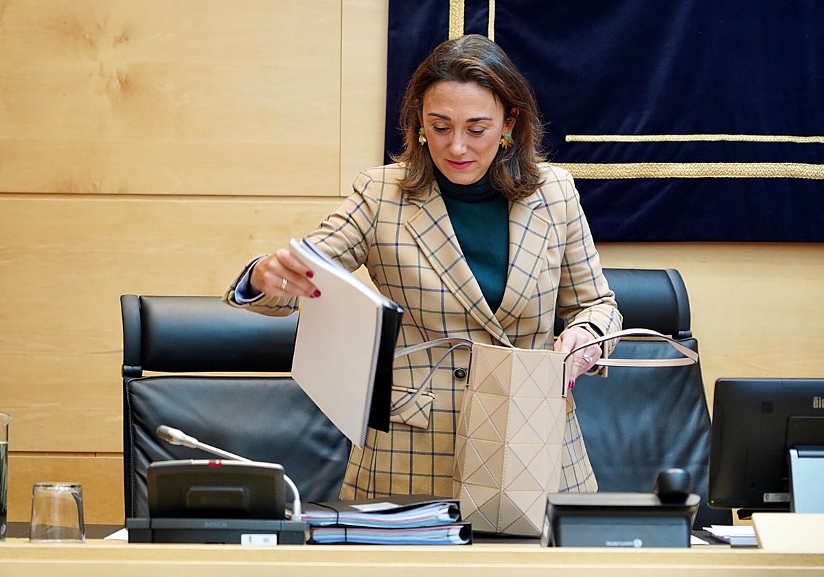 González Corral, ese miércoles en su comparecencia en las Cortes de Castilla y León