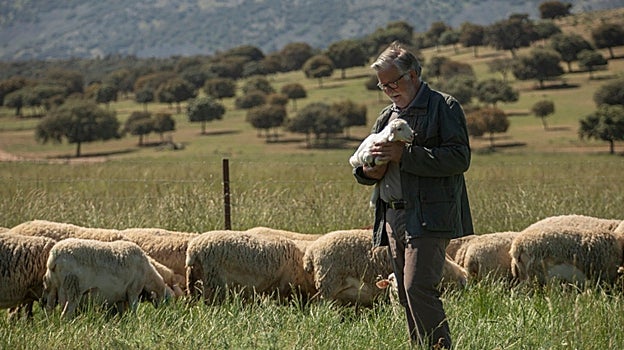 Adiano, el queso manchego y español más laureado en los World Cheese Awards 2022