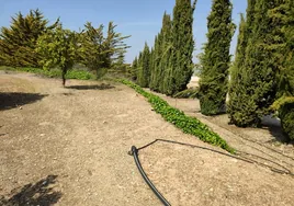 El Ayuntamiento de Lucena licita la obra del primer cementerio ecológico de Andalucía