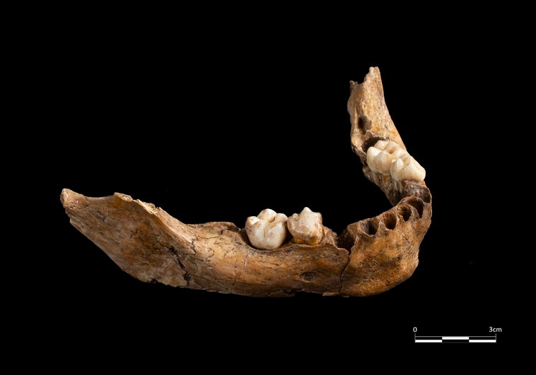 Hallan la mandíbula de un niño que vivió en Tarragona hace 15.000 años