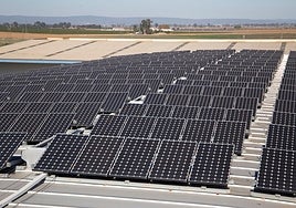 La Junta de Andalucía autoriza la primefa fase de una planta solar en El Salobral de Espejo