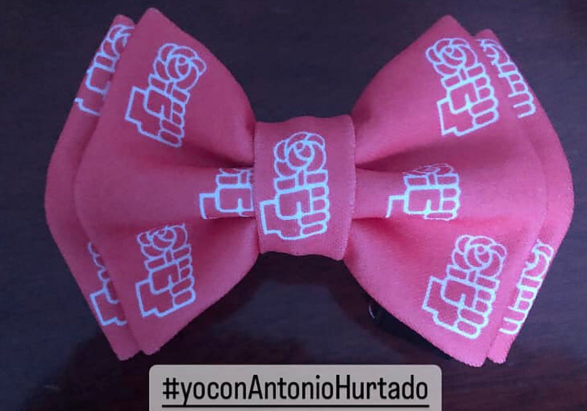 Imagen que ha difundido Hurtado con motivo de las primarias del PSOE a las que se presenta