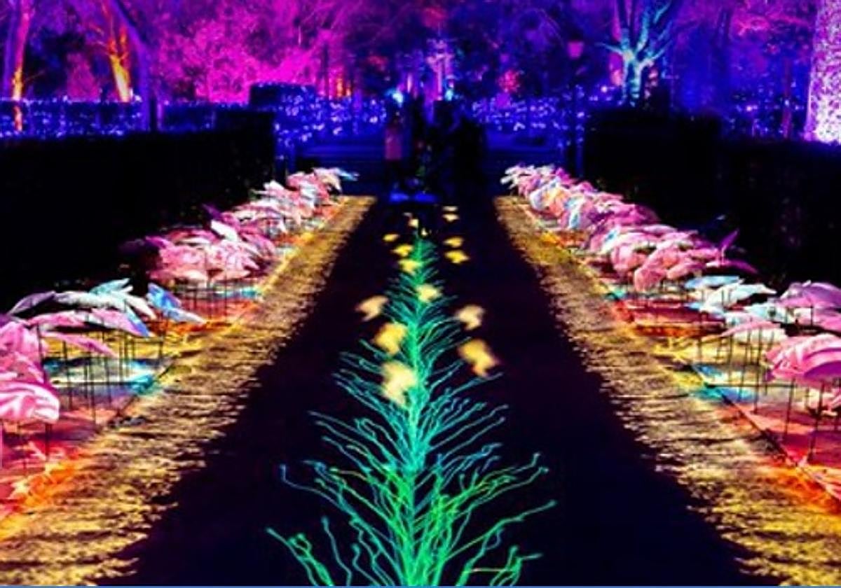 Espectáculo de luz y sonido 'Naturaleza encendida: Raíces'