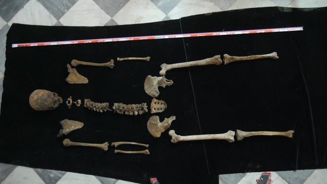 Restos obtenidos en Gelves (Sevilla), donde fueron enterrados descendientes de Colón