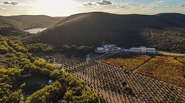 Un tinto de Castilla-La Mancha, entre los mejores vinos de España para 2023