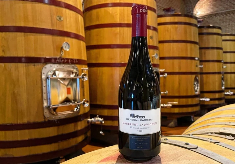 Un tinto de Castilla-La Mancha, entre los mejores vinos de España para 2023