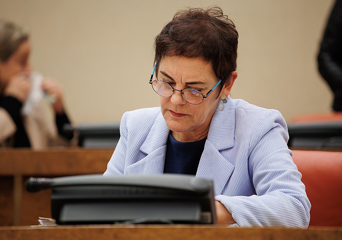 La portavoz de Bildu en el Congreso, Mertxe Aizpurua, la semana pasada, en la Comisión de Presupuestos