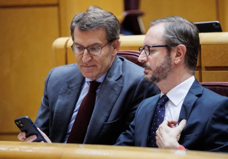 La mayoría de izquierdas en el Senado rechaza una moción del PP para revisar la ley del 'solo sí es sí'