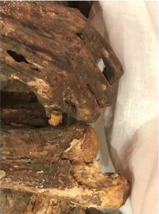 Detalle de la mano derecha y del codo izquierdo desarticulado