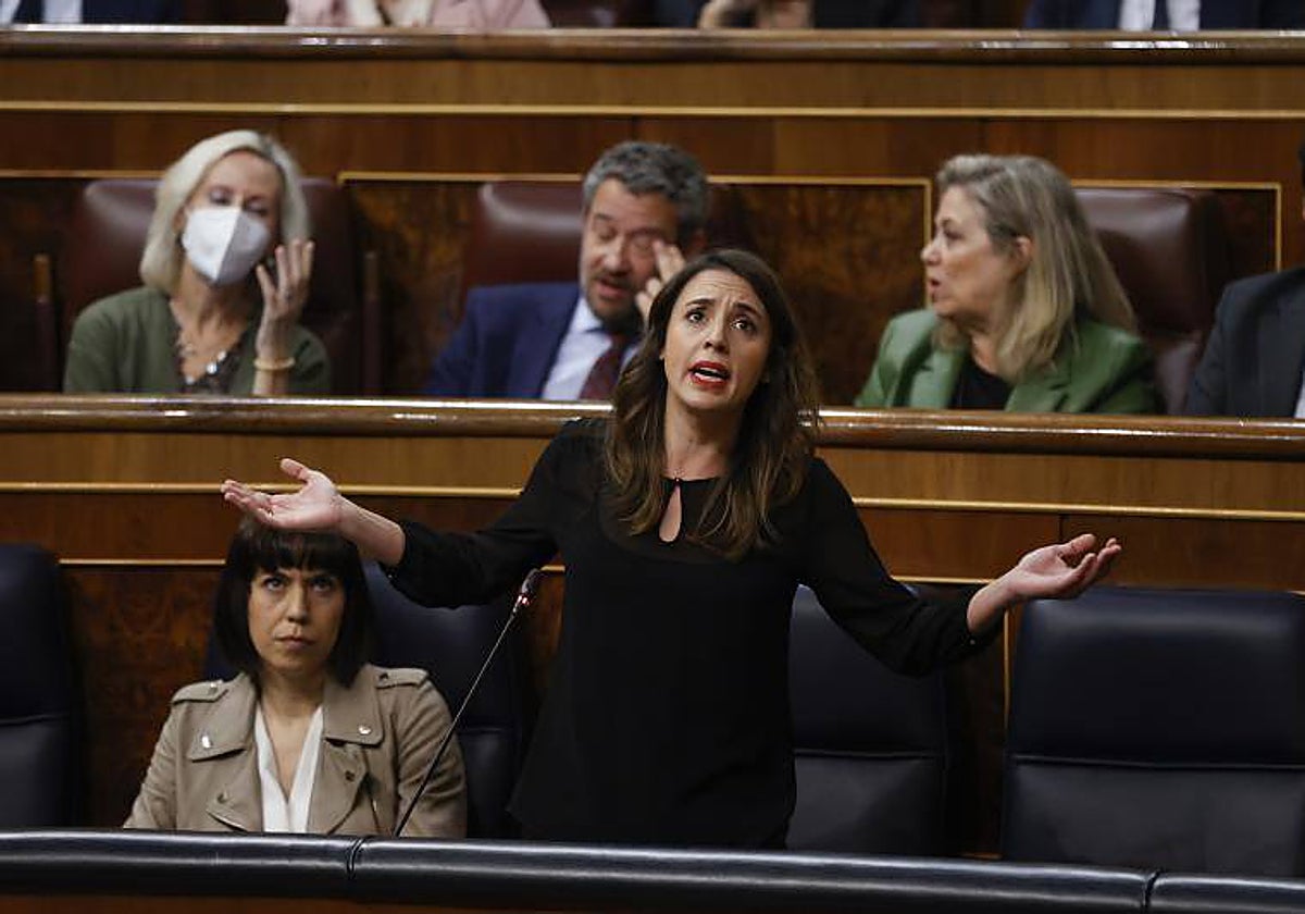 Irene Montero durante su intervención en el Congreso de los Diputados