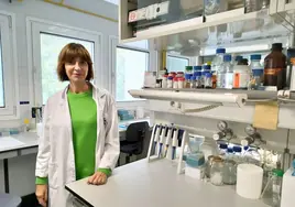 Un descubrimiento sobre regeneración muscular de la Universidad de Jaén atrae a farmacéuticas internacionales
