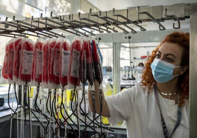 Las donaciones de sangre en Madrid se enfrentan a su semana «horribilis»