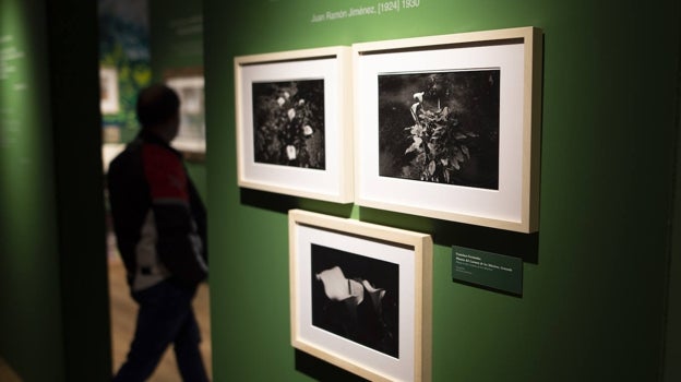Imagen de la exposición 'Jardines. Patrimonio y ensueño'