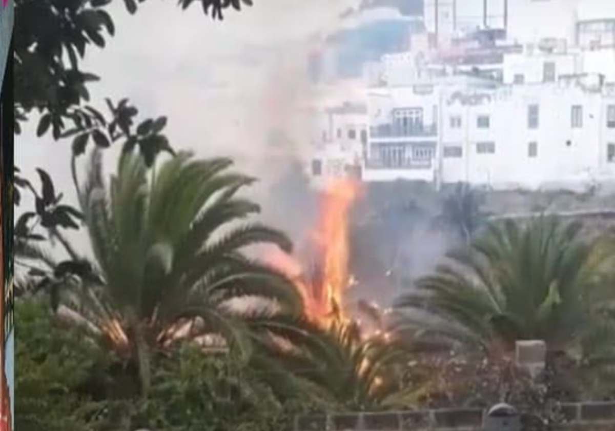 Imagen del incendio de 2018, que devastó el Parque de lasa Flores