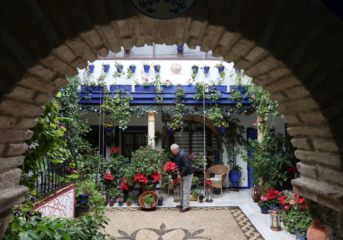 Preparativos de los patios de diciembre en Isabel II, 1