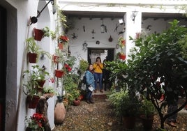 Así celebran Los Patios de Córdoba los diez años como Patrimonio de la Humanidad, en imágenes