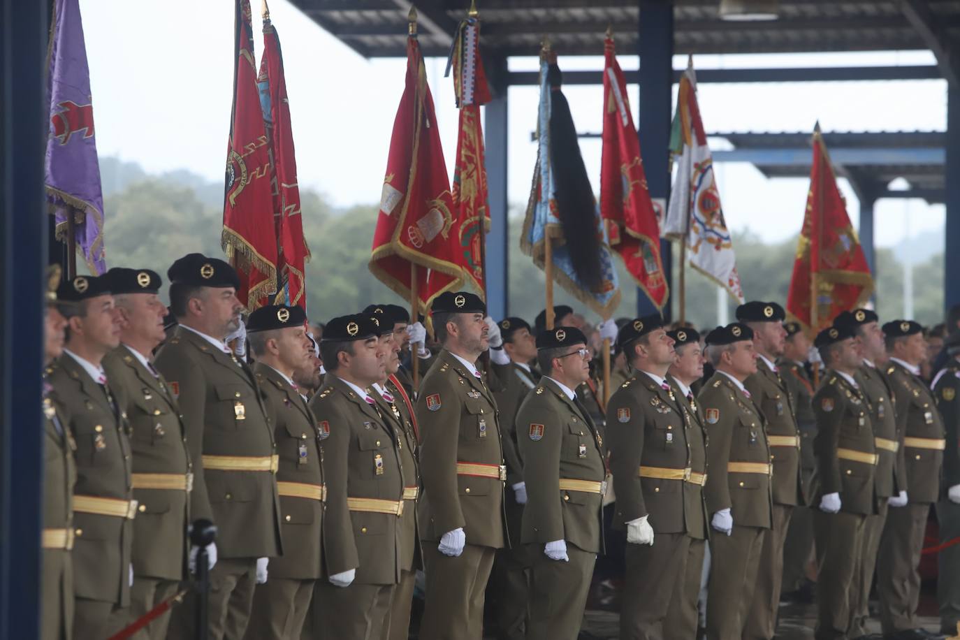 En imágenes, el solemne desfile militar de la BRI X de Córdoba por la Inmaculada