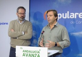 Repullo, al PSOE-A: «Cambiar la malversación es un plan miserable para salvar a quienes robaron 680 millones»