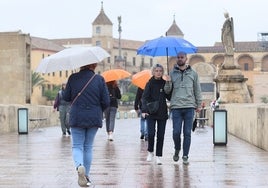 El tiempo en Córdoba | La fuerte lluvia y el viento, protagonistas durante todo el martes