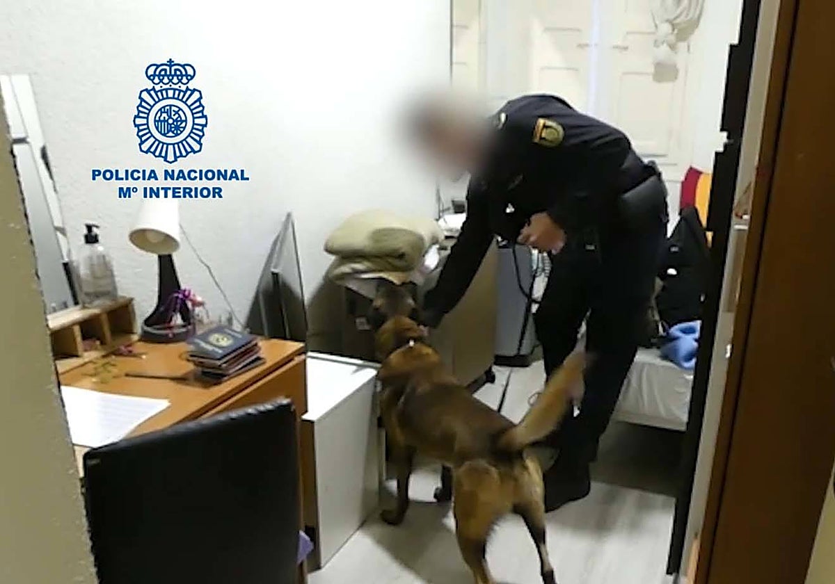 Liberadas en Valladolid 13 mujeres víctimas de explotación sexual que vivían hacinadas en un cuarto de calderas