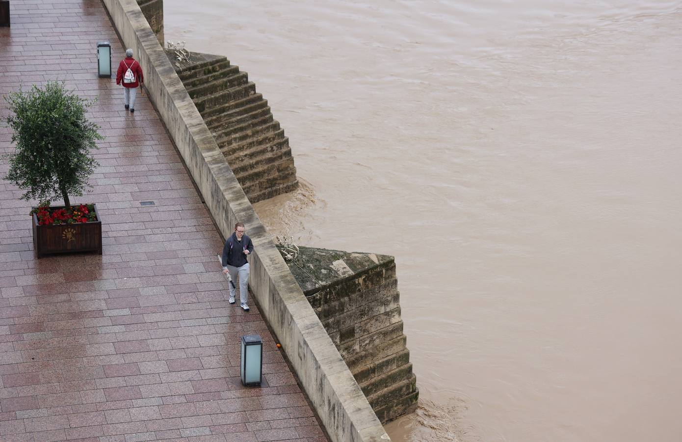 En imágenes, el Guadalquivir recupera el caudal a su paso por Córdoba
