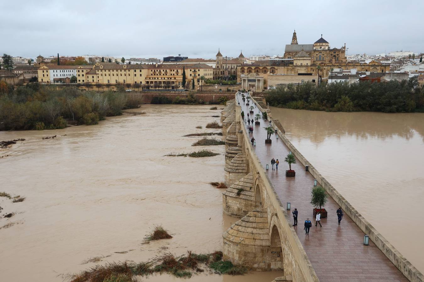 En imágenes, el Guadalquivir recupera el caudal a su paso por Córdoba