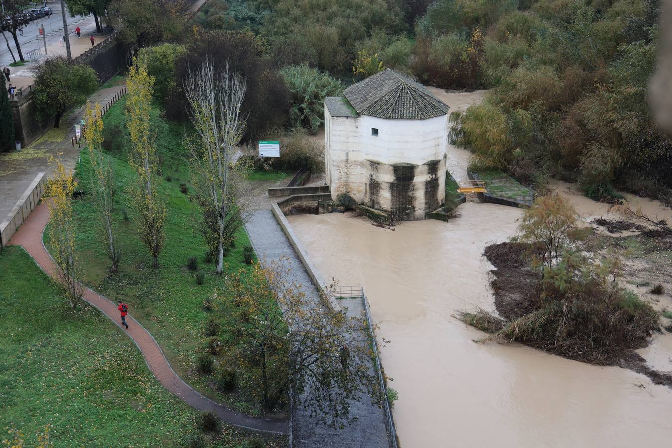 En imágenes, el Guadalquivir recupera el caudal a su paso por Córdoba