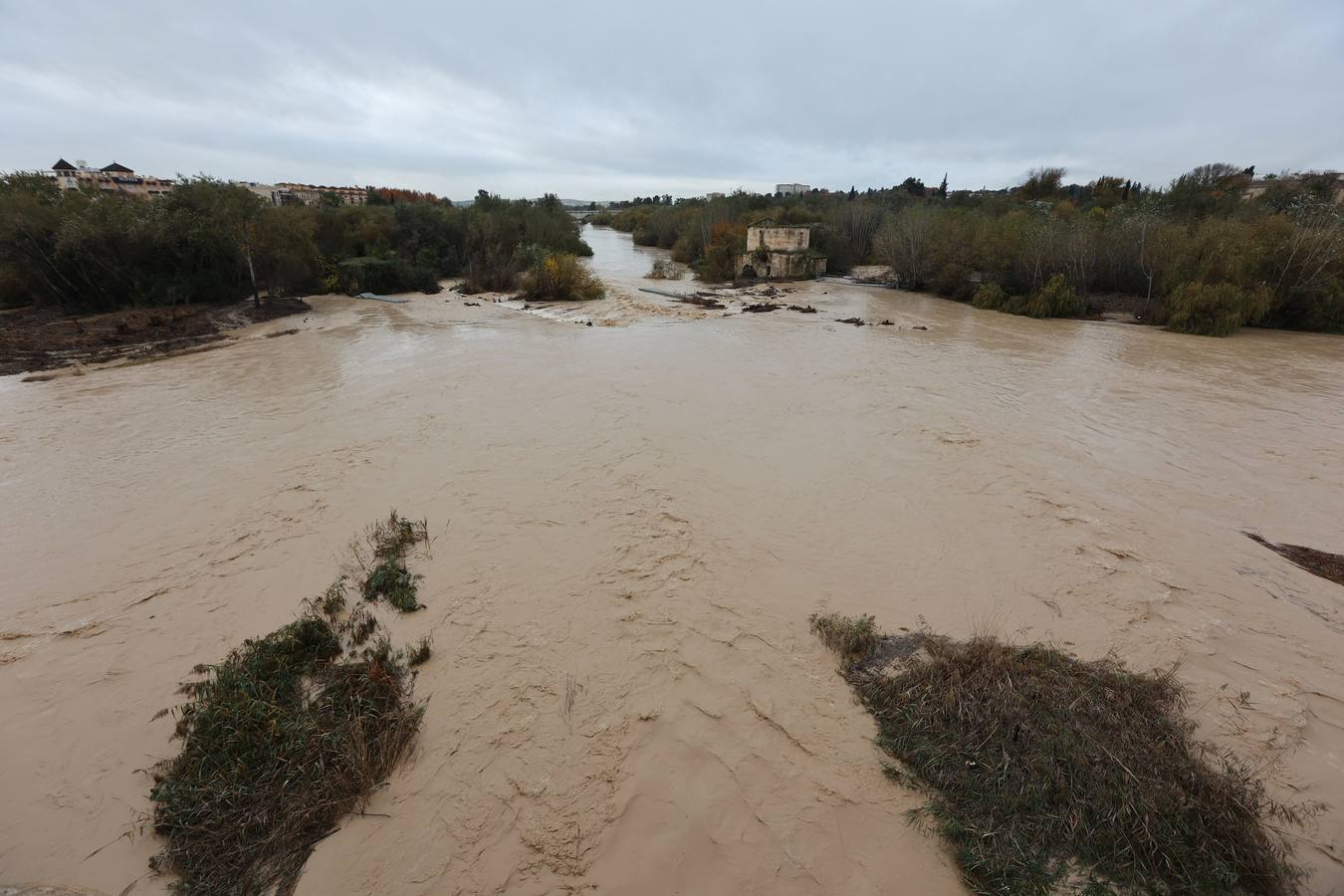 En imágenes, el Guadalquivir recupera el caudal a su paso por Córdoba