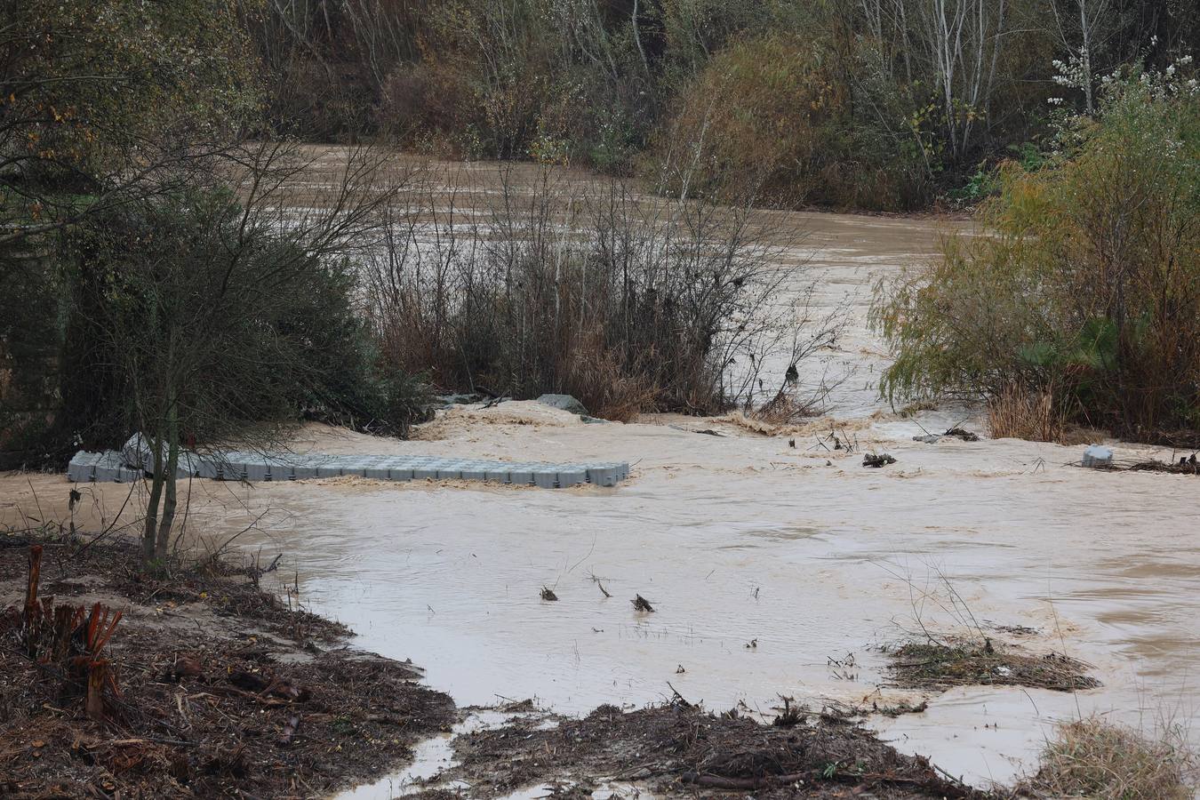 En imágenes, el Guadalquivir recupera el caudal a su paso por Córdoba