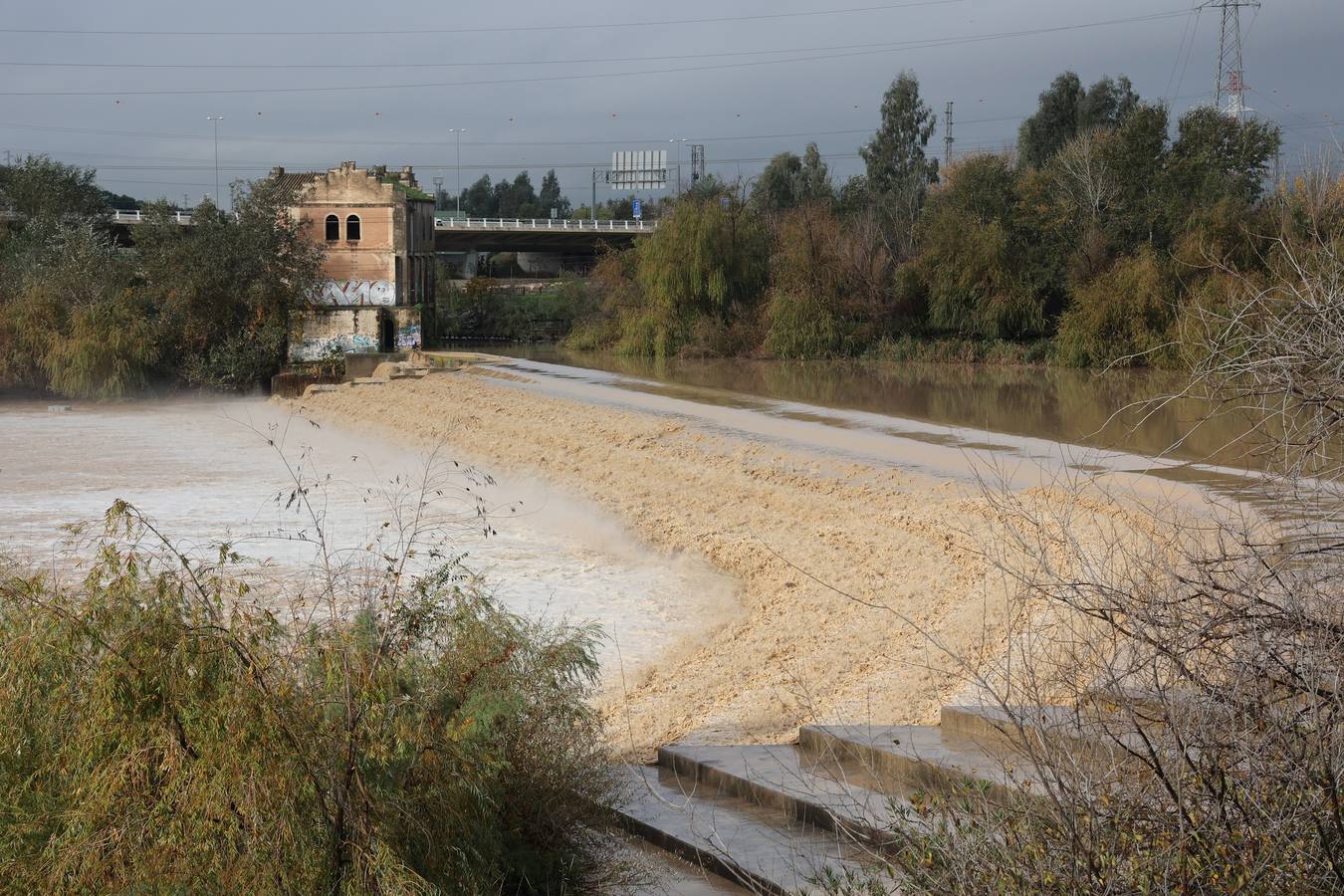 En imágenes, el Guadalquivir recupera el caudal a su paso por Córdoba